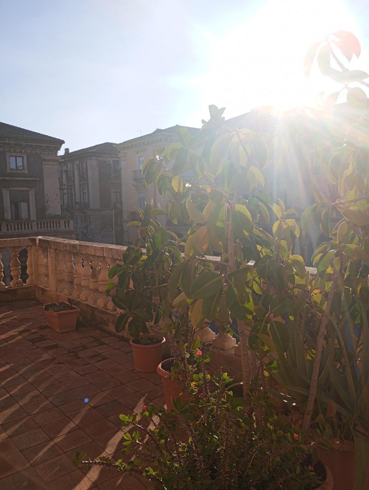 John Mary House Catania